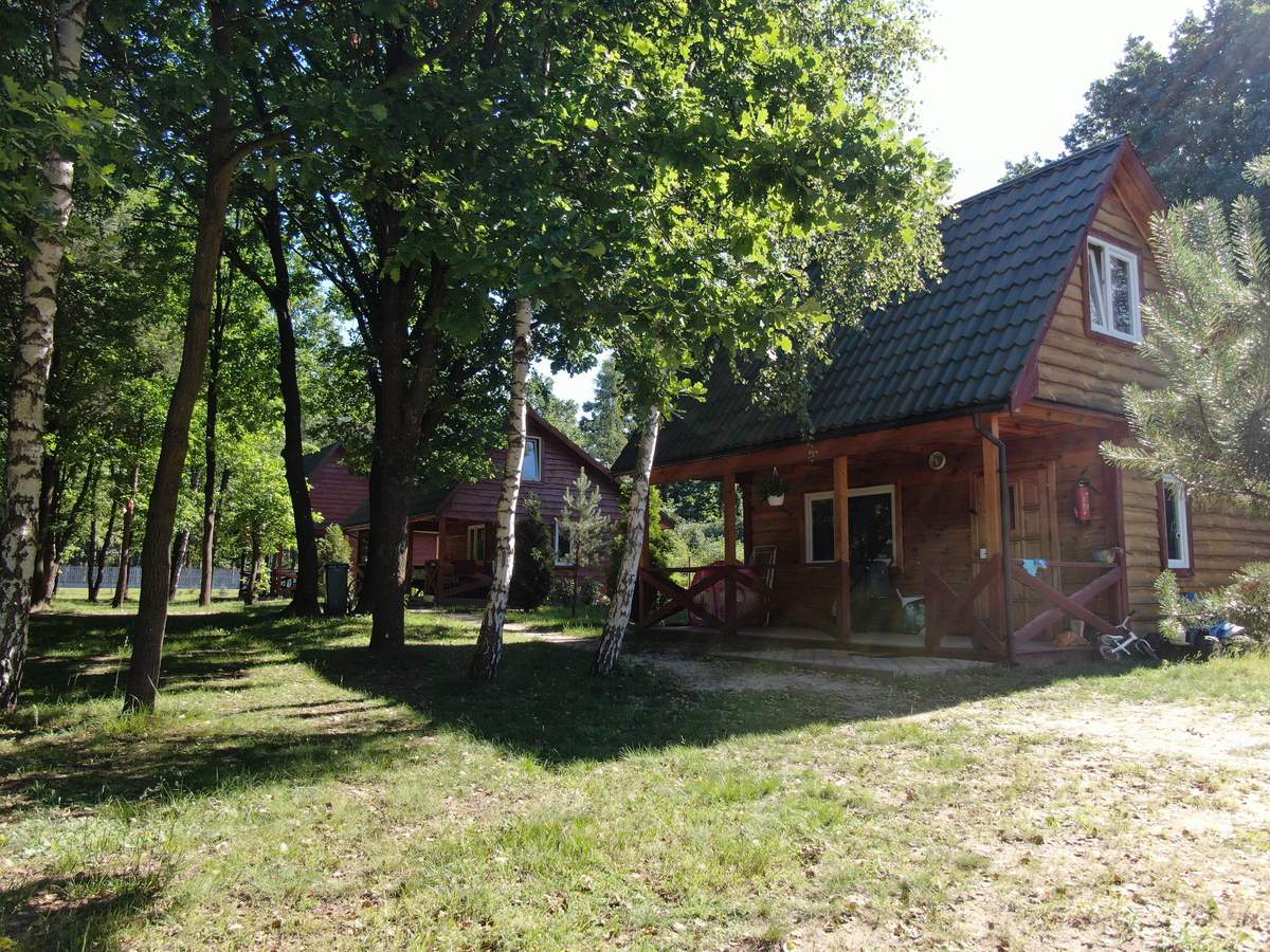 Domek drewniany w lesie